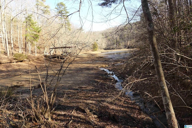 Listing photo 2 for LOT9 Harbour Point Dr Unit 9, Delta AL 36258