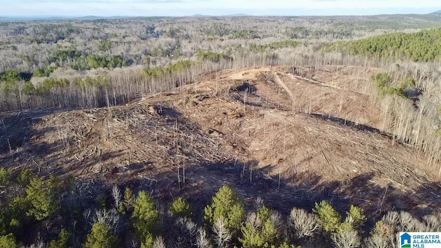 0 Old Rockhouse Rd, Sylacauga AL, 35150 land for sale