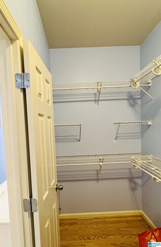 walk in closet with wood-type flooring