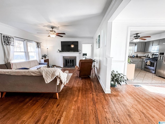 living room featuring light hardwood / wood-style flooring, ceiling fan, and ornamental molding