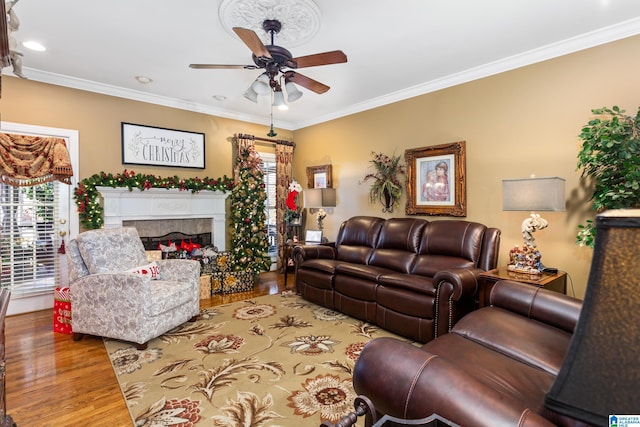 living room with ceiling fan, wood-type flooring, and ornamental molding