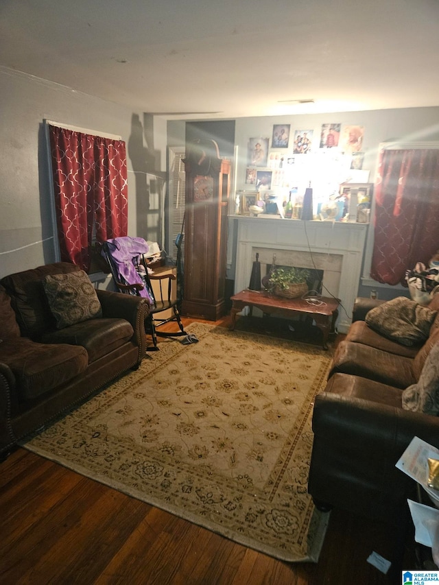 living room featuring hardwood / wood-style floors