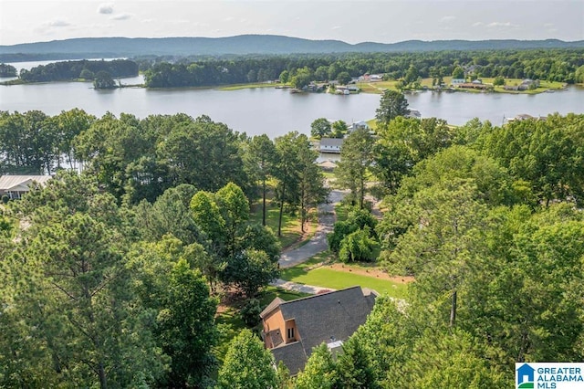 birds eye view of property featuring a water and mountain view