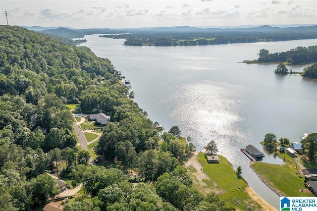 drone / aerial view with a water and mountain view