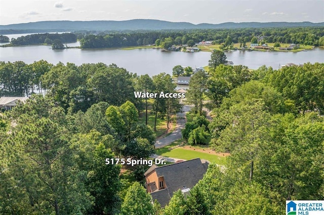 drone / aerial view featuring a water and mountain view