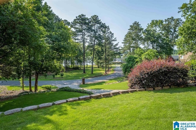 view of home's community with a lawn