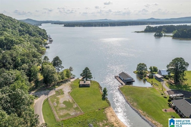 bird's eye view featuring a water and mountain view