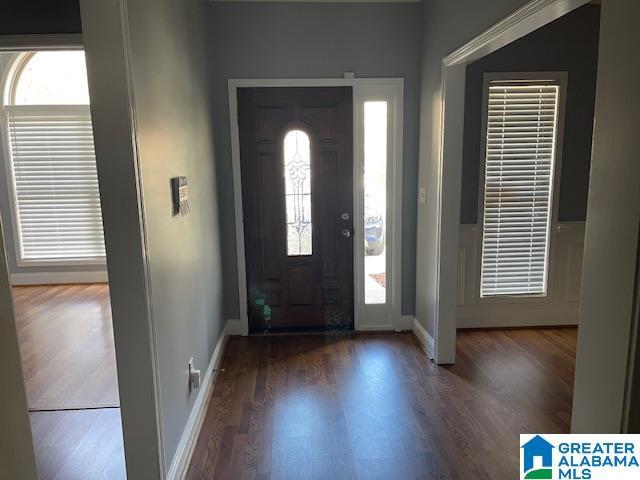 entrance foyer with dark wood-type flooring and a healthy amount of sunlight