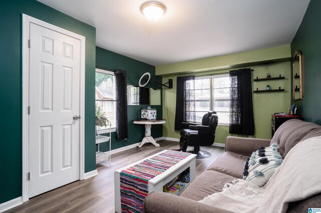 living room with wood-type flooring and a healthy amount of sunlight