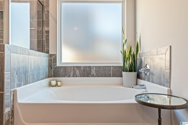 bathroom with a bathtub and a wealth of natural light