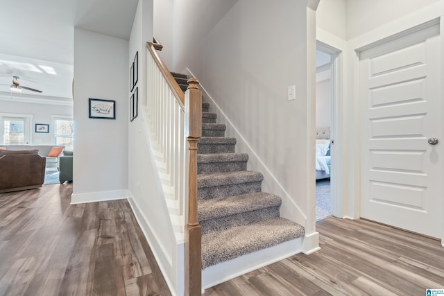 stairway with hardwood / wood-style flooring and ceiling fan