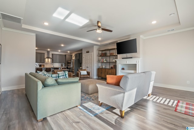 living room featuring a raised ceiling and light wood-type flooring