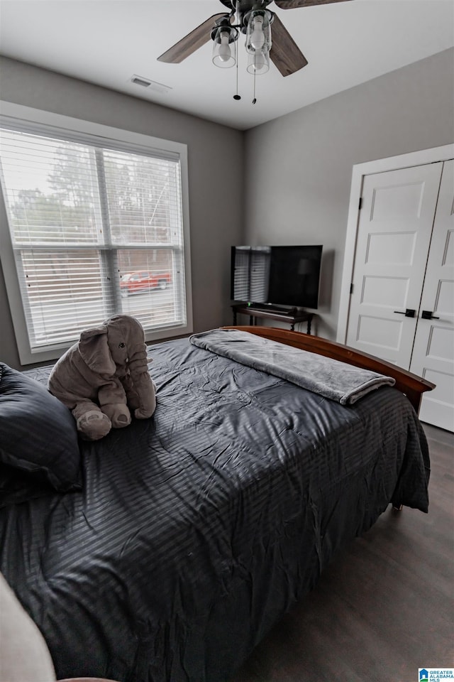 bedroom featuring multiple windows, dark hardwood / wood-style flooring, and ceiling fan