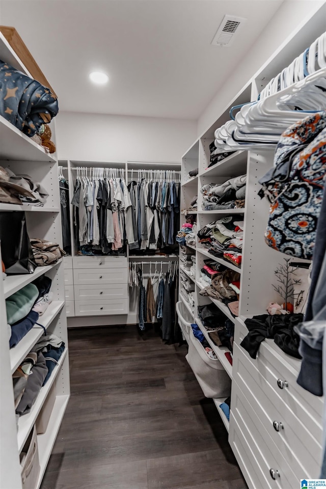 spacious closet featuring dark wood-type flooring