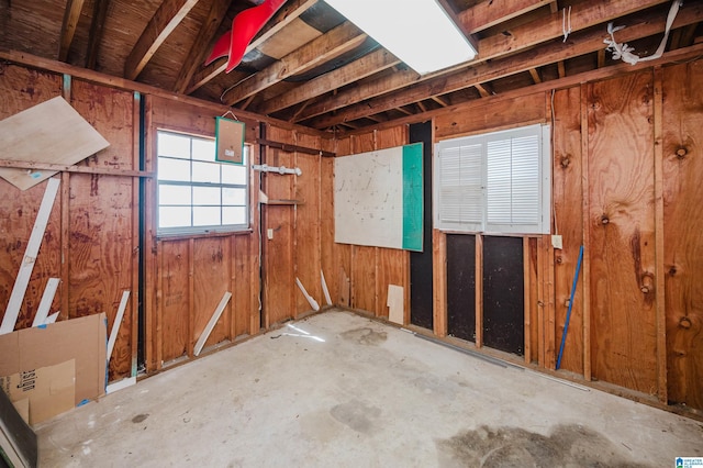 basement featuring wood walls