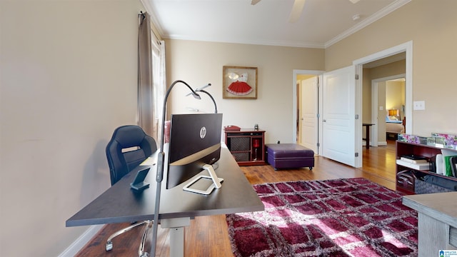 office area featuring hardwood / wood-style floors, ceiling fan, and ornamental molding