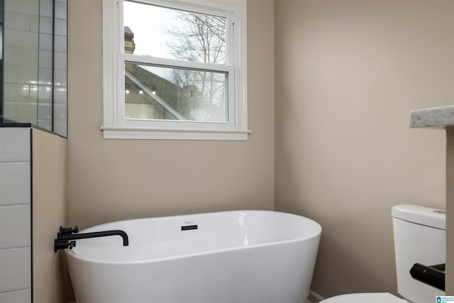 bathroom with a bathing tub and toilet