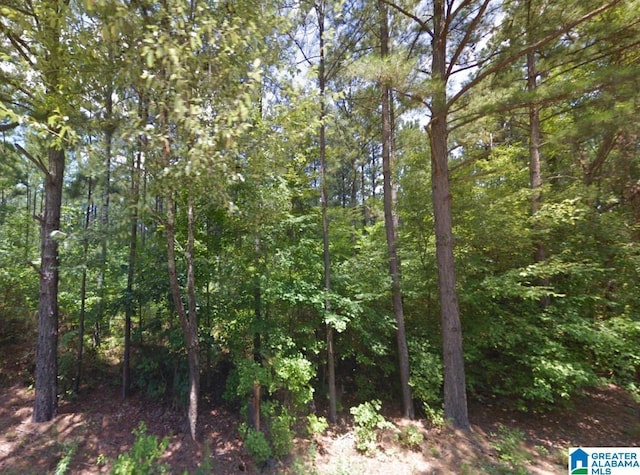 00 Persimmon Ln -, Unit Talladega AL, 35160 land for sale