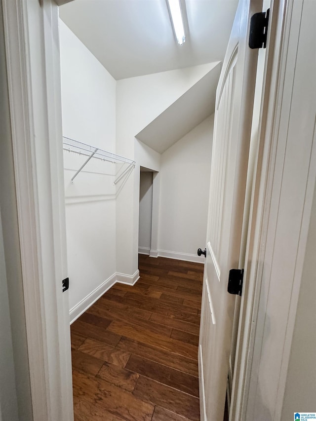 spacious closet featuring dark hardwood / wood-style floors