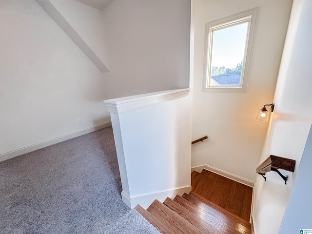 stairs featuring carpet flooring