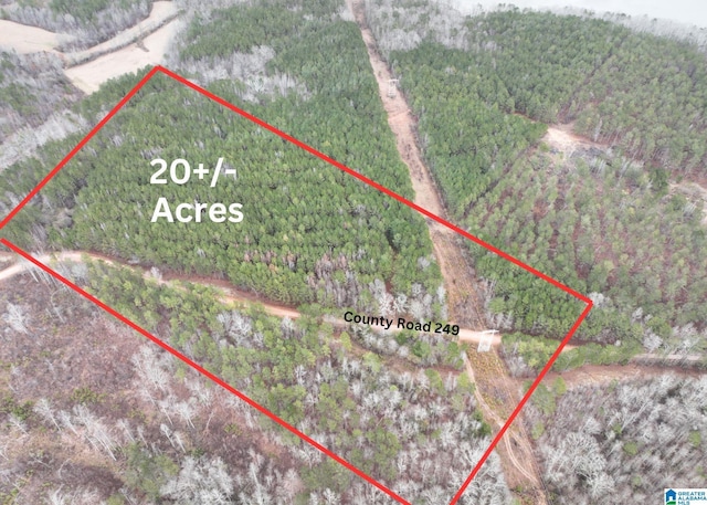 20/-ACRES County Road 249 Unit 20/-, Acres, Wedowee, AL 36278