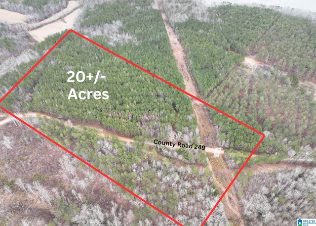 20/-ACRES County Road 249 Unit 20/-, Acres, Wedowee AL, 36278 land for sale