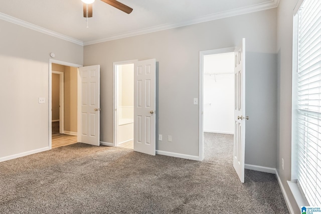 unfurnished bedroom featuring a spacious closet, ceiling fan, crown molding, a closet, and carpet