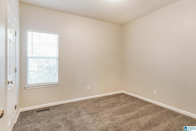 carpeted spare room with plenty of natural light