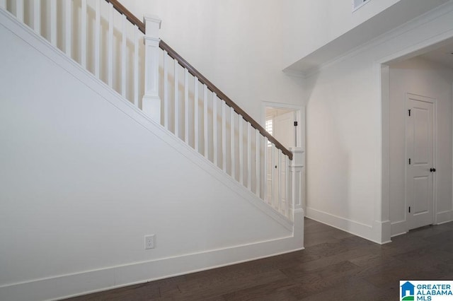 staircase featuring hardwood / wood-style flooring