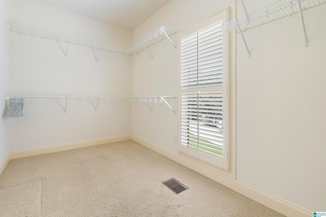 walk in closet with carpet flooring