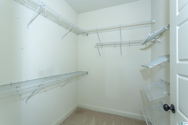 walk in closet featuring light colored carpet