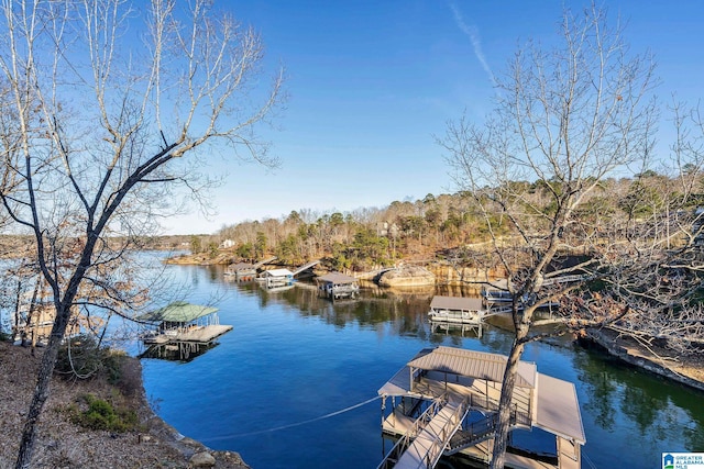 dock area featuring a water view