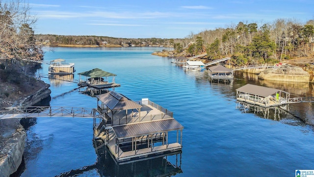 dock area featuring a water view