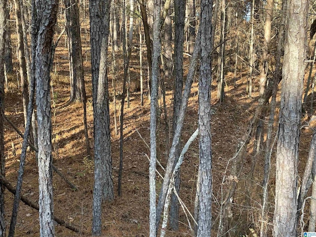 Listing photo 3 for LOT1 County Road 886 Unit 1, Jemison AL 35085