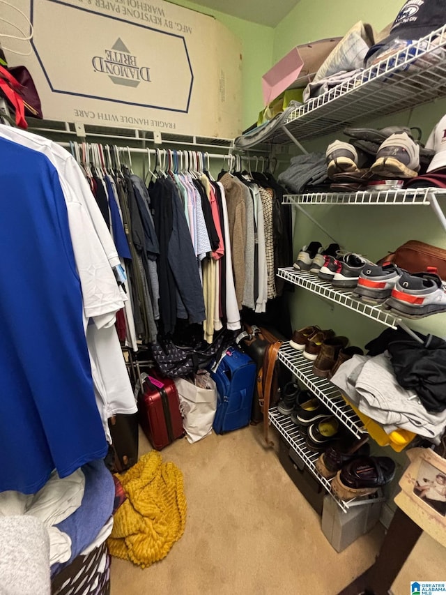 walk in closet featuring carpet floors