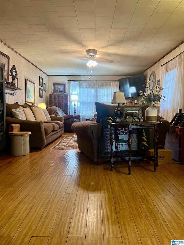 living room with ceiling fan and hardwood / wood-style flooring