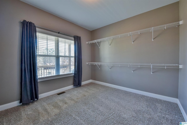 walk in closet with carpet floors