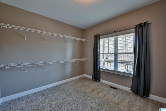 spacious closet featuring carpet floors