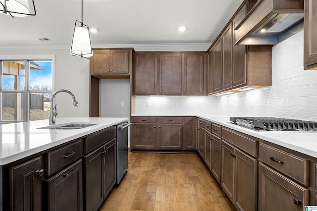 kitchen featuring sink, appliances with stainless steel finishes, hanging light fixtures, dark brown cabinetry, and custom range hood