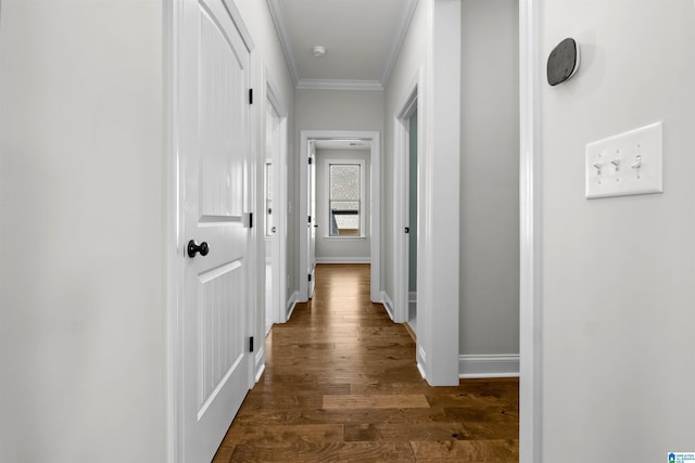 hallway featuring dark hardwood / wood-style flooring and crown molding