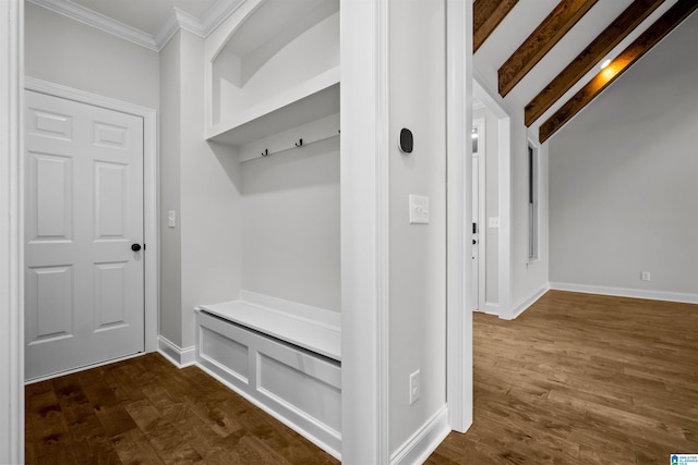 mudroom with dark hardwood / wood-style flooring and crown molding