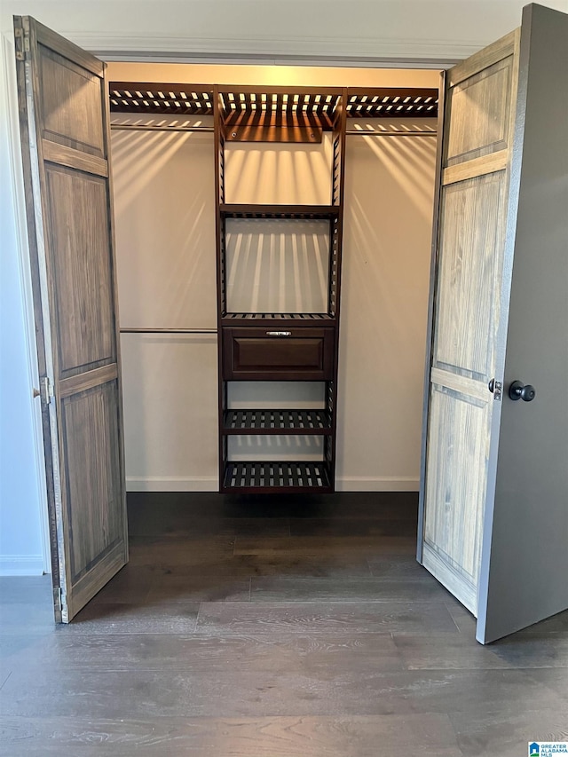 walk in closet featuring dark hardwood / wood-style flooring