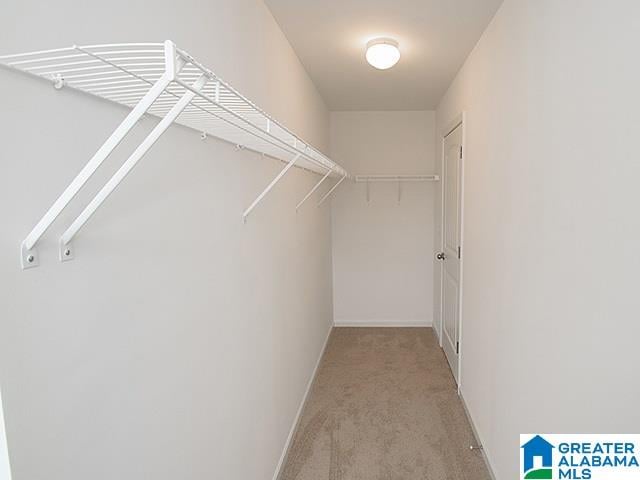 spacious closet with light colored carpet