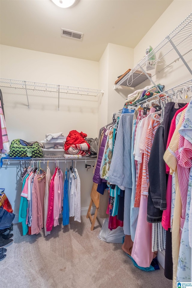 walk in closet featuring carpet flooring