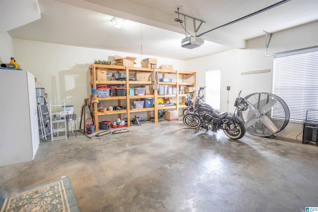 garage with a garage door opener