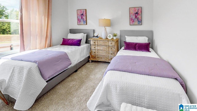 bedroom featuring carpet flooring