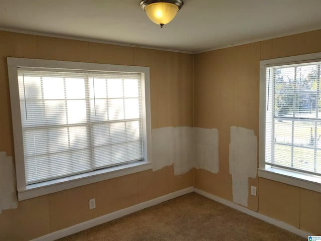 carpeted empty room with a wealth of natural light