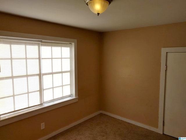 unfurnished room featuring carpet floors