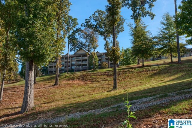 view of community featuring a lawn