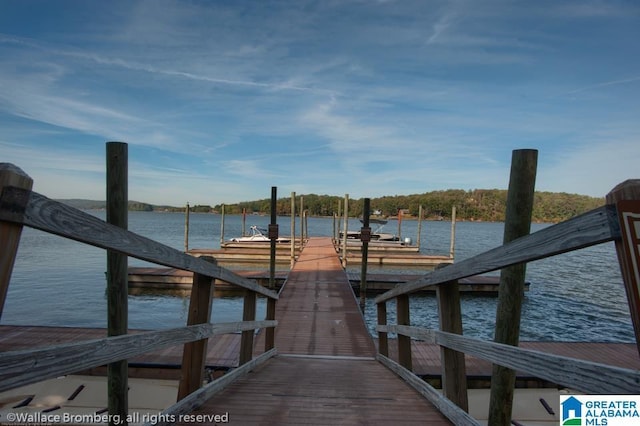 dock area featuring a water view